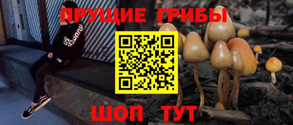 Моздок  Галлюциногенные грибы мицелий  Галлюциногенные грибы Cubensis  Вход с VPN 