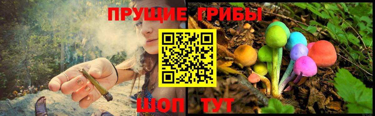 Галлюциногенные грибы Psilocybine cubensis Моздок