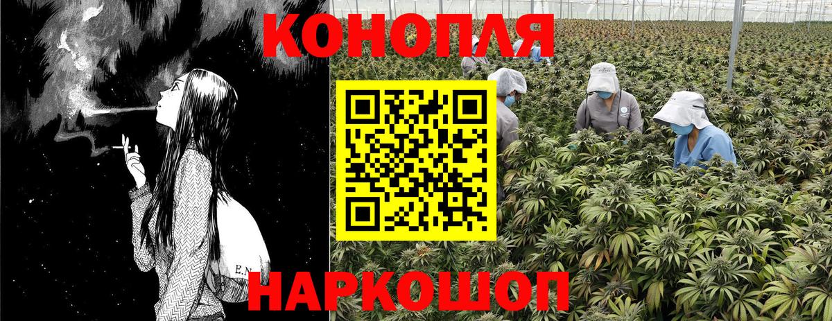 Канабис White Widow  Вход с VPN  Каннабис семена  Моздок 